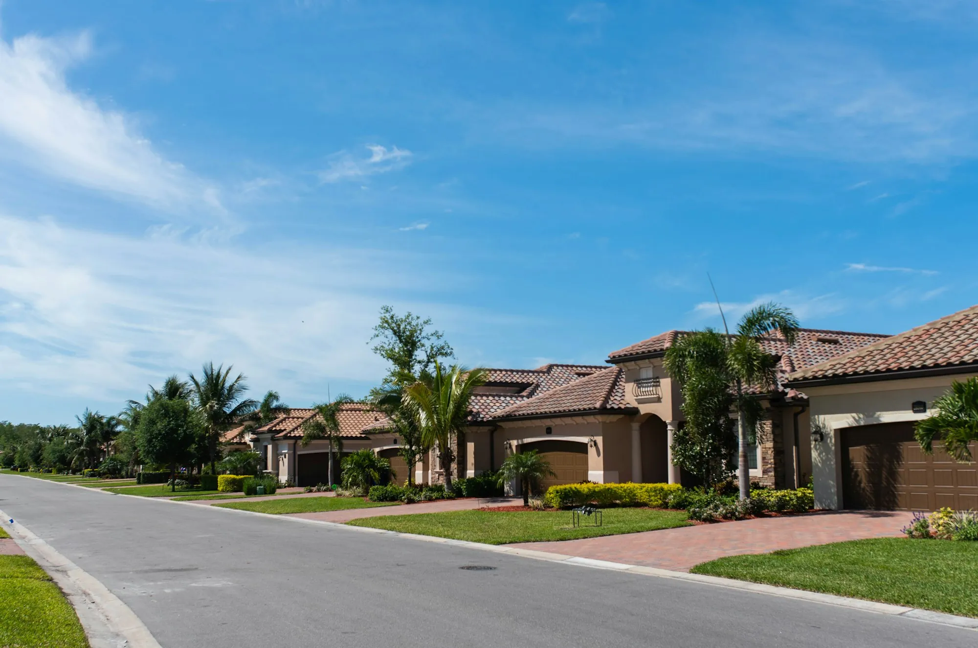 A quiet residential street lined with palm trees and front lawns